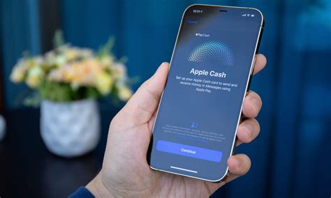 venmo cash users sue apple payment|Venmo and Cash App Users Sue Apple Over Antitrust Laws